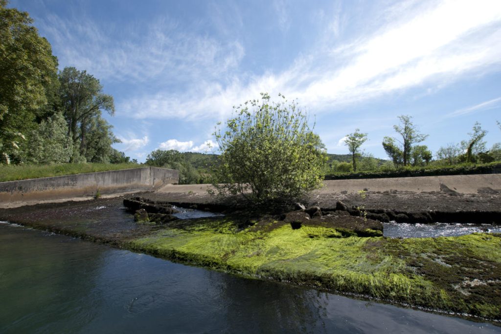 Commercio e attività produttiva al Timavo