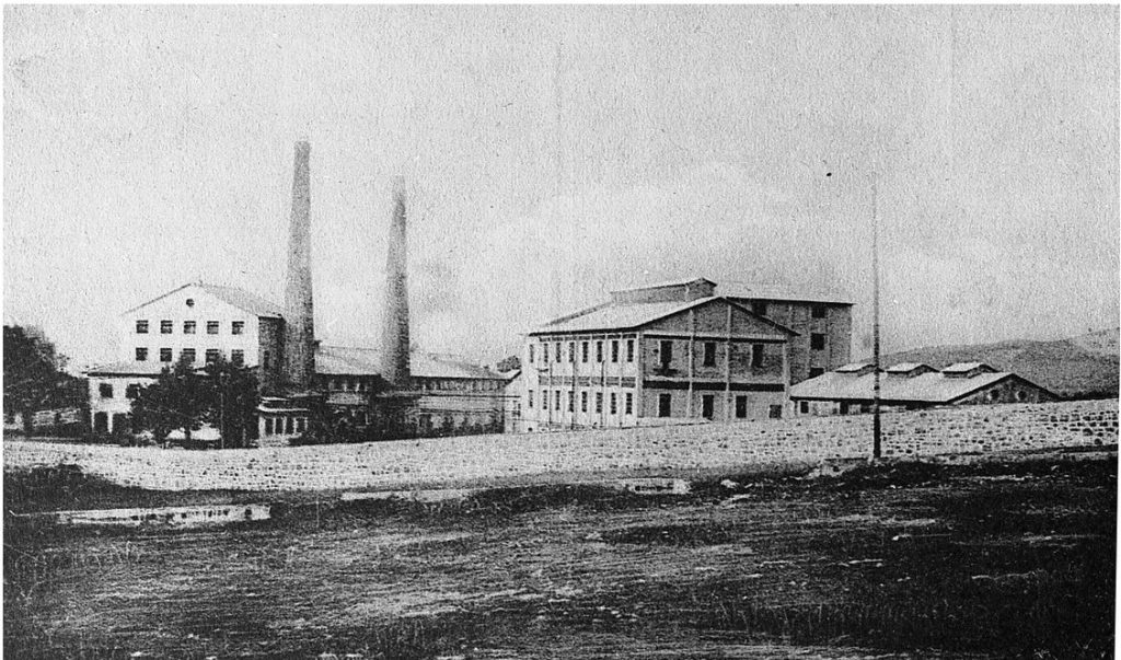 L’industria della raffinazione olearia